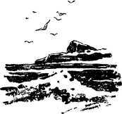 i_029.jpg