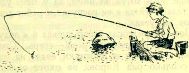 Дельфины i_015.jpg