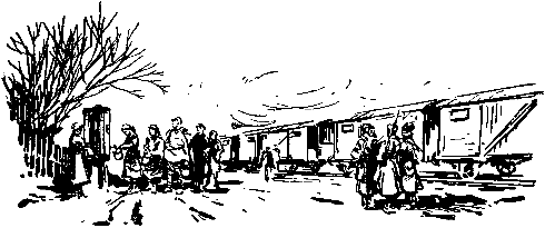 Избранное в 2 томах. Том 1 pic_8.png