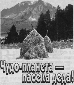 Чудо-планета - пасека деда! i_001.png