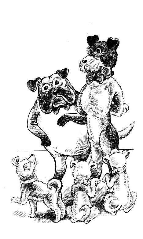 О весёлых собачках (сборник) i_012.png
