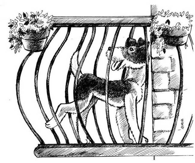 О весёлых собачках (сборник) i_017.png