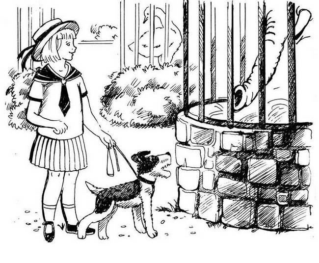 О весёлых собачках (сборник) i_021.png