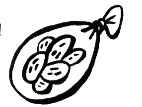 Про Бабаку Косточкину i_209.png