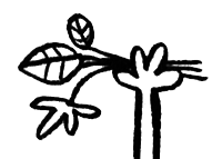 Про Бабаку Косточкину i_037.png