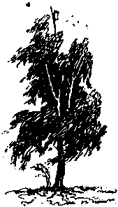 Стеклянный конверт img_18.png