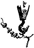 Стеклянный конверт img_24.png