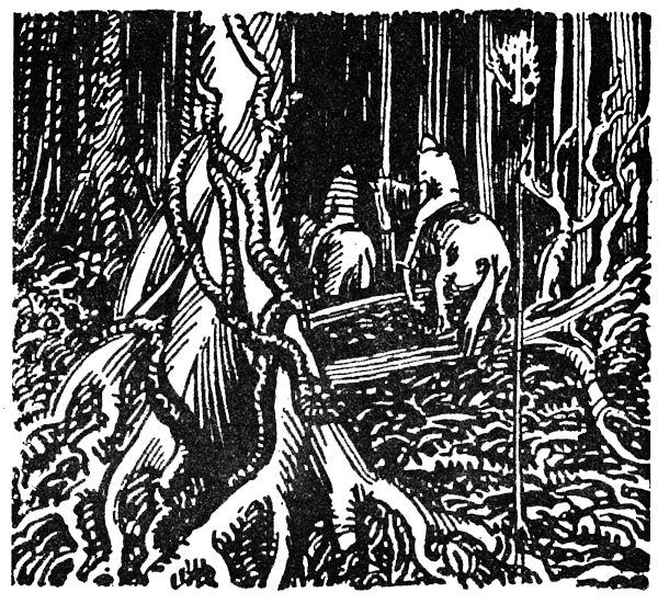Охота за головами на Соломоновых островах i_036.png