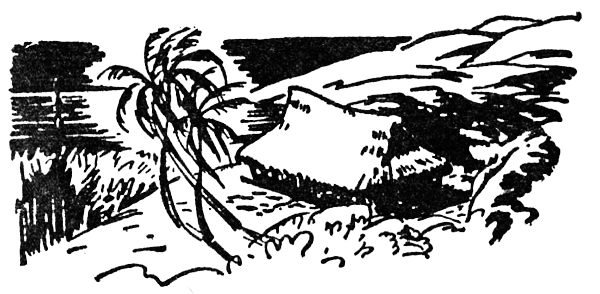 Охота за головами на Соломоновых островах i_039.png