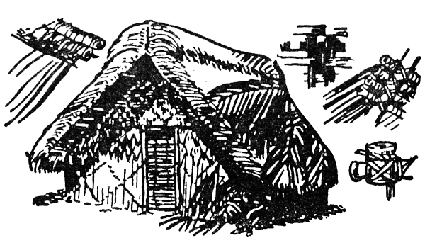 Охота за головами на Соломоновых островах i_046.png