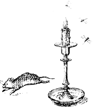 Зоопарк в моей квартире (сборник) i_014.png