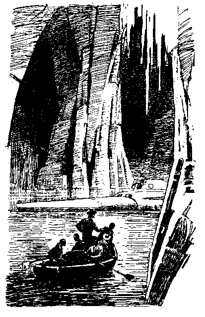 Таинственный остров (илл. П. Луганского) pic_26.png