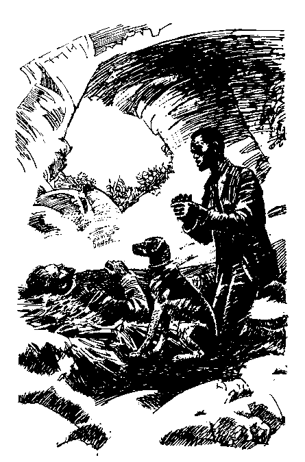 Таинственный остров (илл. П. Луганского) pic_8.png