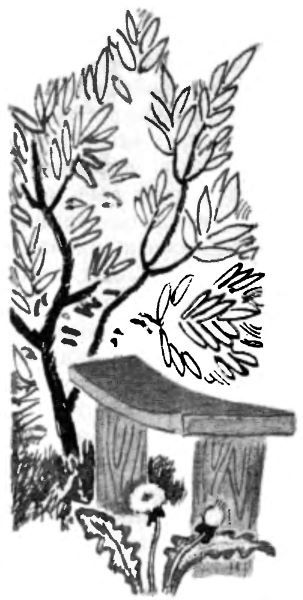 Улица Зеленая i_002.jpg
