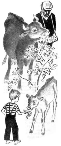 Улица Зеленая i_006.jpg