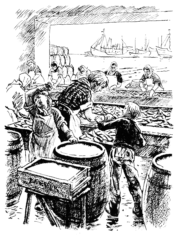 Морской узел i_006.png
