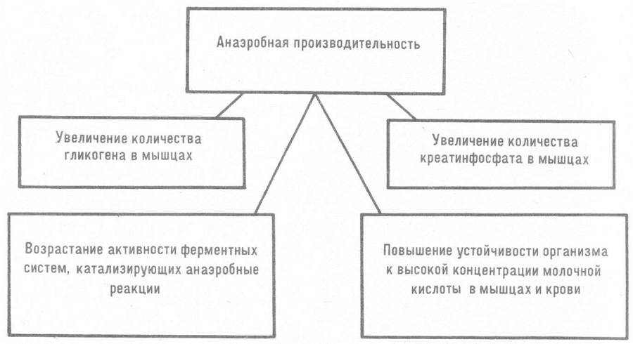 Человек и бег _6.jpg