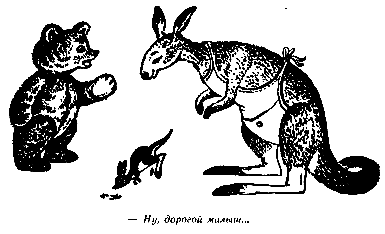 Винни Пух и Все-Все-Все (илл. А. Порет) pic_60.png