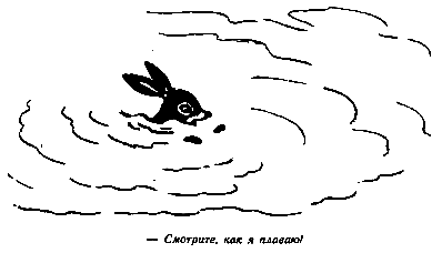 Винни Пух и Все-Все-Все (илл. А. Порет) pic_72.png