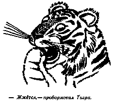 Винни Пух и Все-Все-Все (илл. А. Порет) pic_97.png