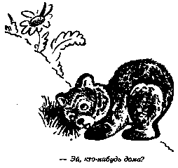 Винни Пух и Все-Все-Все (илл. А. Порет) pic_13.png