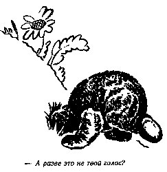 Винни Пух и Все-Все-Все (илл. А. Порет) pic_14.png