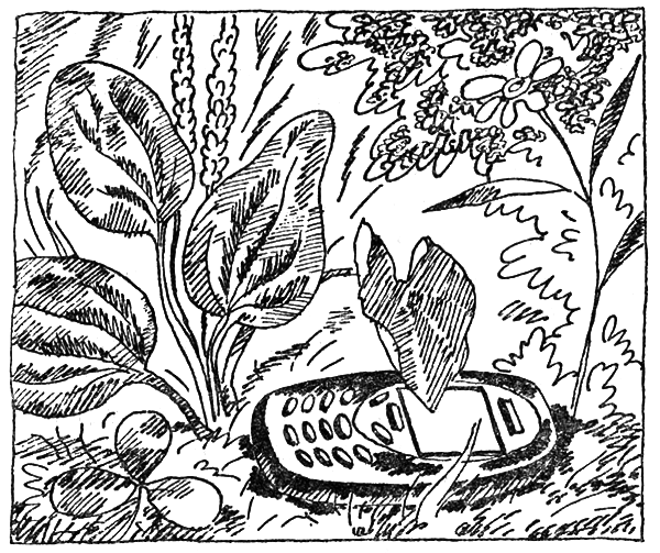 Тайны огонь-горы, или Полосатое лето i_021.png