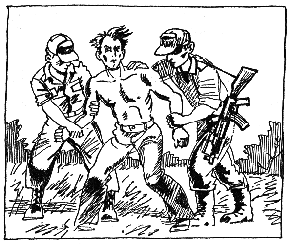 Тайны огонь-горы, или Полосатое лето i_023.png