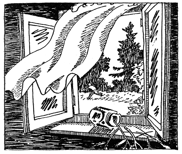 Тайны огонь-горы, или Полосатое лето i_006.png
