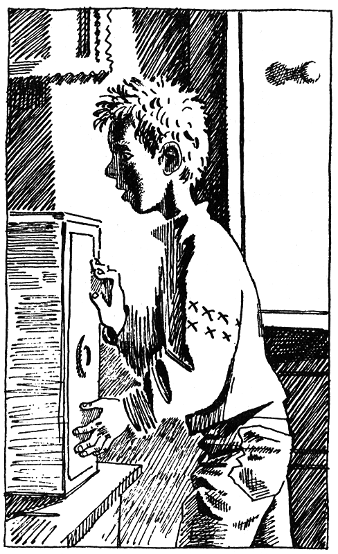 Тайны огонь-горы, или Полосатое лето i_007.png