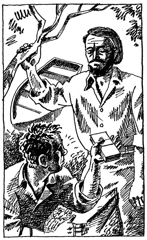 Тайны огонь-горы, или Полосатое лето i_010.png
