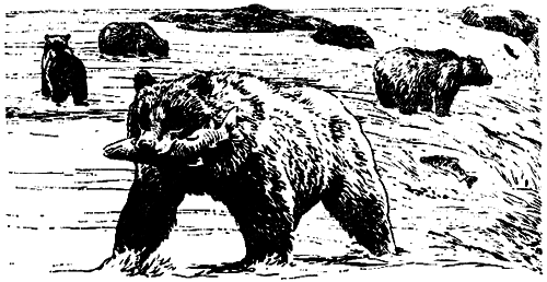 Исчезающие животные Америки _32.png