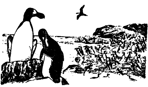 Исчезающие животные Америки _3.png