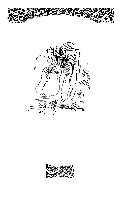 Собрание сочинений в 10 томах. Том 1 pic_13.png
