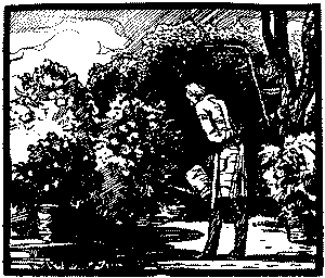 Лунный камень (илл.) doc2fb_image_0300001F.png