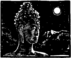 Лунный камень (илл.) doc2fb_image_03000023.png