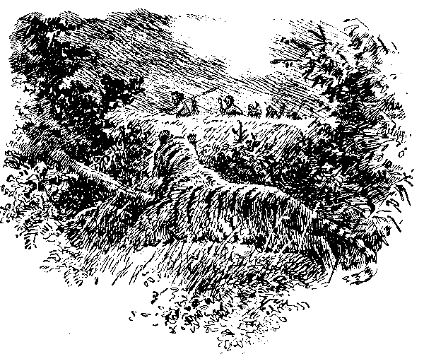 Борьба за огонь (илл. В. Добровольского) pic_4.png