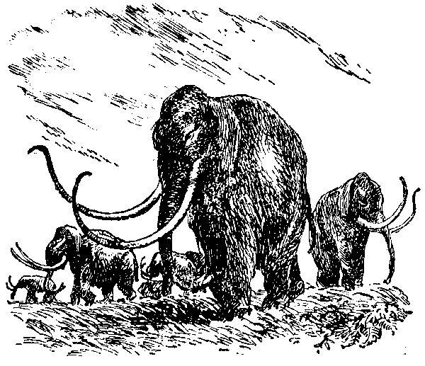 Борьба за огонь (илл. В. Добровольского) pic_23.png