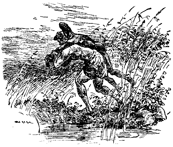 Борьба за огонь (илл. В. Добровольского) pic_36.png