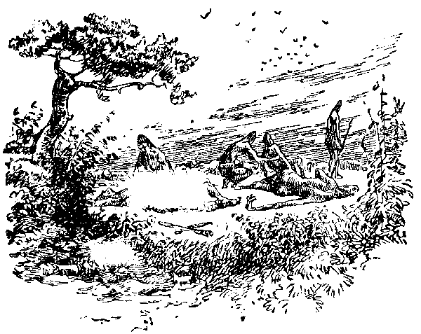 Борьба за огонь (илл. В. Добровольского) pic_40.png