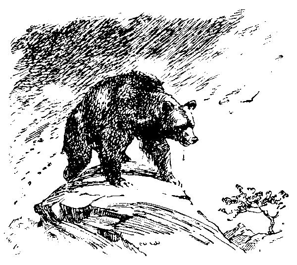 Борьба за огонь (илл. В. Добровольского) pic_8.png