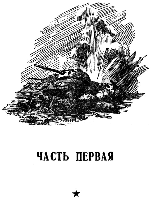 На берегах Дуная i_003.png