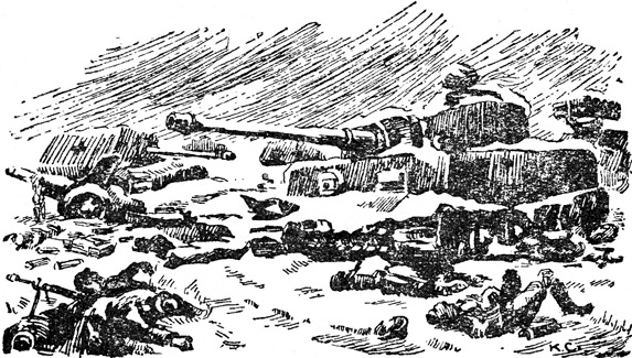На берегах Дуная i_017.png