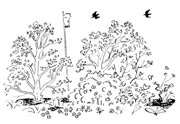 Повесть о недовольном кролике i_001.png