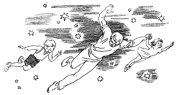 Горный инженер и золотая мушка i_001.png