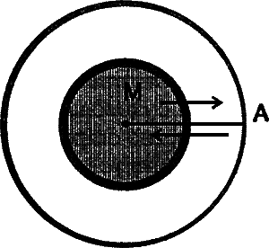 Сладкая жизнь эпохи застоя i_002.png