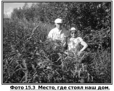 Русское крестьянство в зеркале демографии img_35.jpg