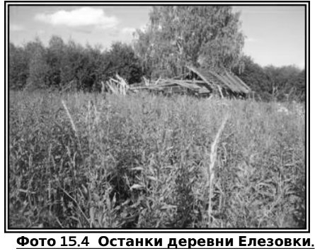 Русское крестьянство в зеркале демографии img_36.jpg