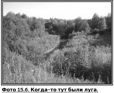 Русское крестьянство в зеркале демографии img_38.jpg