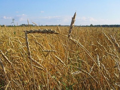 Радиобеседы i_060.jpg